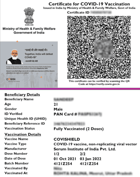 Vaccine certificate print layout